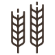 ICON-FINDER-1-2
